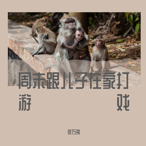 周末跟儿子在家打游戏