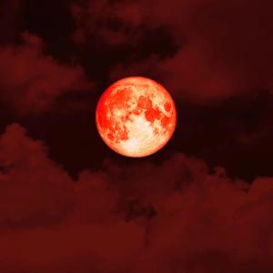 Moon Blood