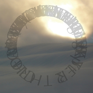 Through The Trees Pt. 2