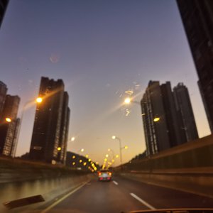 森林与雪山的回响