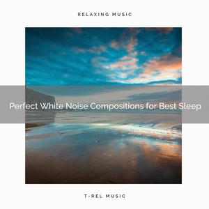 Gain the Peace with Perfect, Looped Noise and Relax