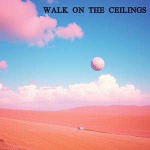 Walk on the ceilings (feat. erofaalbivio)
