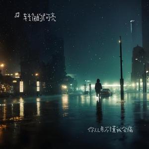 你从来不懂我会痛