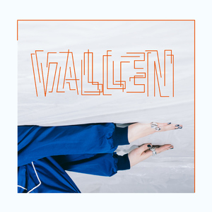 Vallen - Alois versie
