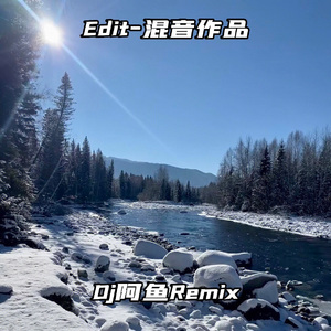 Edit USA-上头容易下头难（Dj阿鱼混音remix）