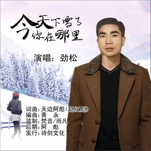 今天下雪了你在哪里