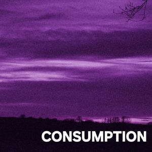 Consumption
