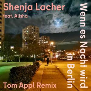 Wenn es Nacht wird in Berlin (feat. Alisha) (Tom Appl Remix)