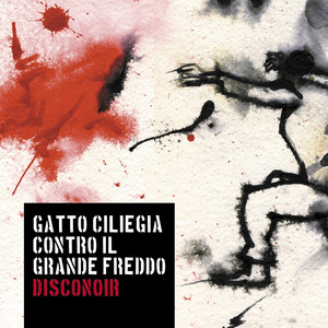 Stella che non dimentica