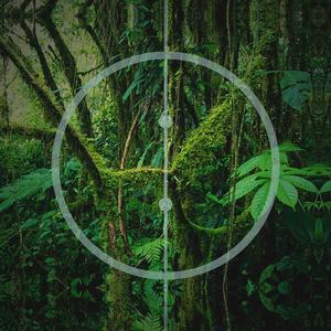 Chicharras y Grillos