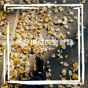 无缘终章