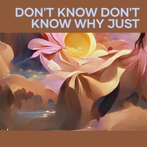 Don't Know Don't Know Why Just