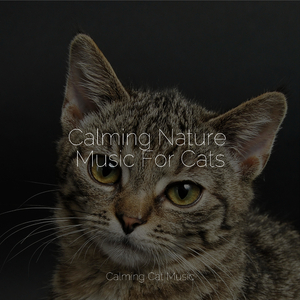 Sailing Beyond Horizons