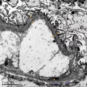 我的朋友我希望你过的好