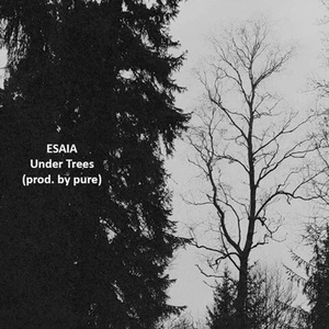 Under Trees
