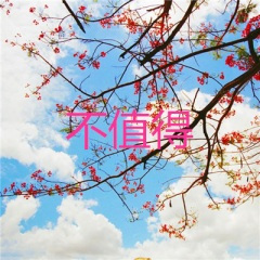 忘情冷夜雨 (头条版)