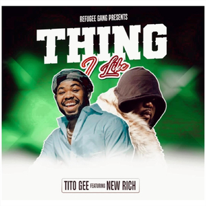 Thing I Like (feat. New Rich)