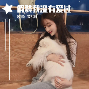 假装我没有爱过（翻自 威仔）