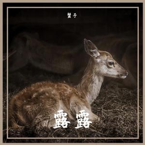 露露 (正式版伴奏）