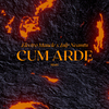 Electro Manele - Cum arde (Remix)