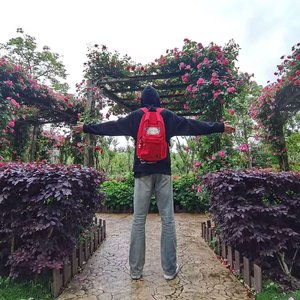 有情人不成眷属