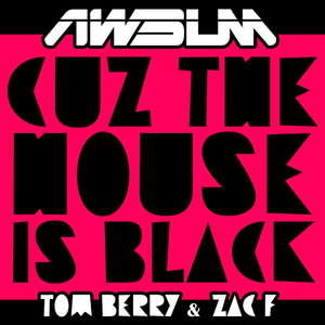 Cus The House Is Black (Original Mix)