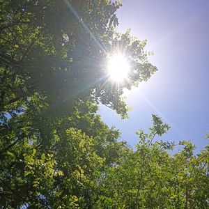 搁浅（纯音乐）