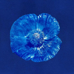 Scimèrose (feat. Kelly Thoma & Eleanna Papanikoloupolou)