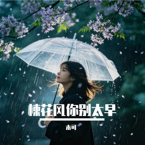 楝花风你别太早