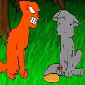 warrior cats