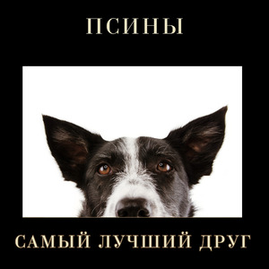 Самый лучший друг