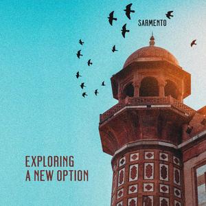 Exploring a New Option