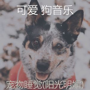 阳光明媚(睡狗)