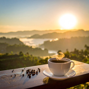 モーニングブレンド