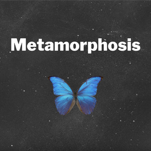 Metamorphosis