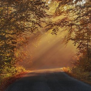 满天花雨（钢琴曲）