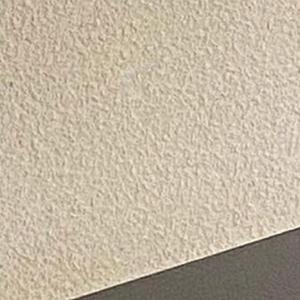 残酷月光（翻自 林宥嘉）