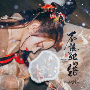 不该犯的错 (DJ默涵版)