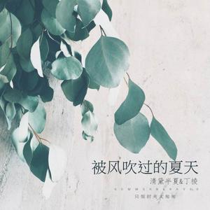 被风吹过的夏天