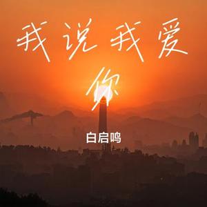 我说我爱你 (Cover 刘嘉亮)