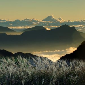 小霞-海洋&小霞&高睿 - 我的美丽vs向云端LakHouseRemix（曾帅 remix）