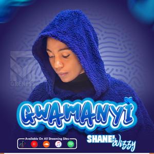 Shanel Wizzy - Gwamanyi (Official audio)