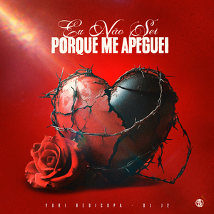 Eu Não Sei por Que Me Apeguei