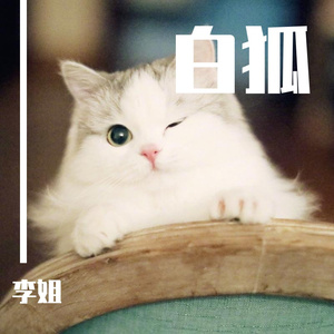白狐