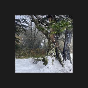 In the Bleak Midwinter