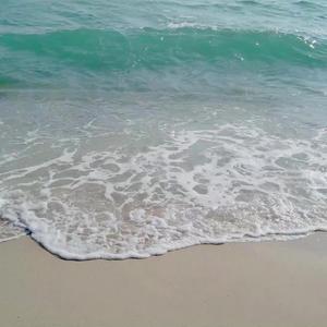 Una lunga storia d'amore