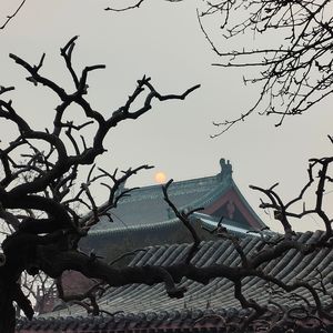 太远了(仅个人学习使用)