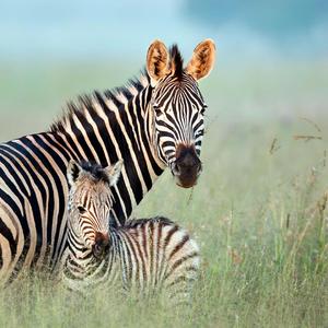 钢琴白噪音引你入眠