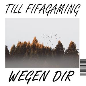 Wegen dir