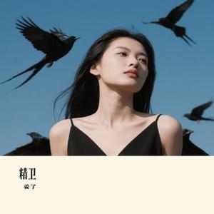 精卫 (Cover 王悦辰)